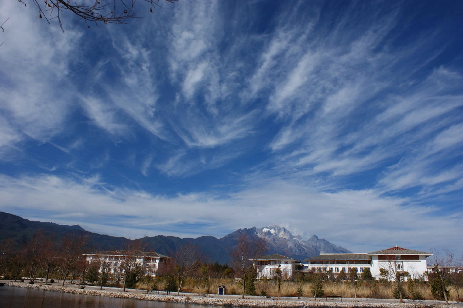 云南大學(xué)旅游文化學(xué)院——校園景觀(guān)圖(冬日)