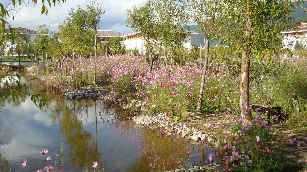 云南大學(xué)旅游文化學(xué)院——校園景觀(guān)圖(小徑)