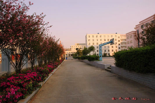云南國土資源職業(yè)學(xué)院_花開滿園
