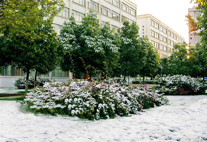 云南經(jīng)濟管理學(xué)院_冰雪校園