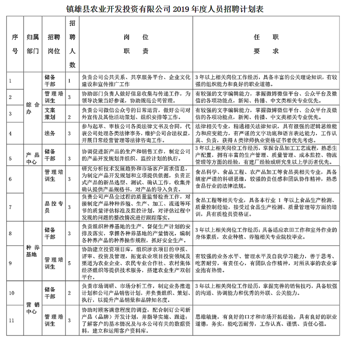 招聘計劃表